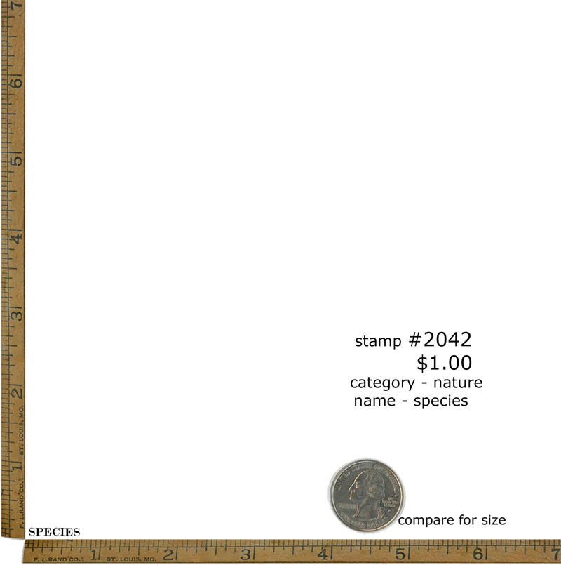 #2042 - Species - Nature